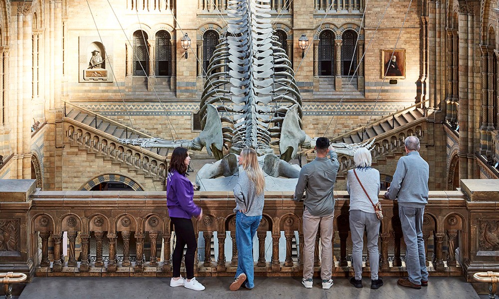 Natural History Museum in Tring